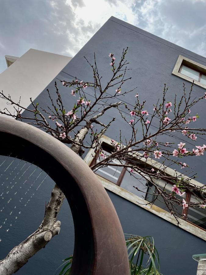 Organic Stay Guesthouse Swakopmund Exterior foto